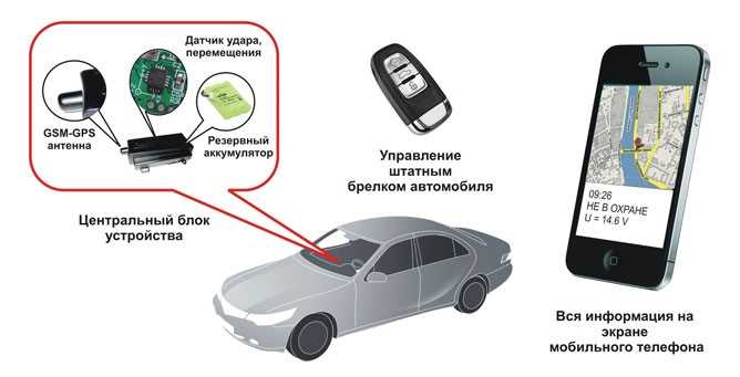 Что нужно знать перед покупкой сигнализации для автомобиля