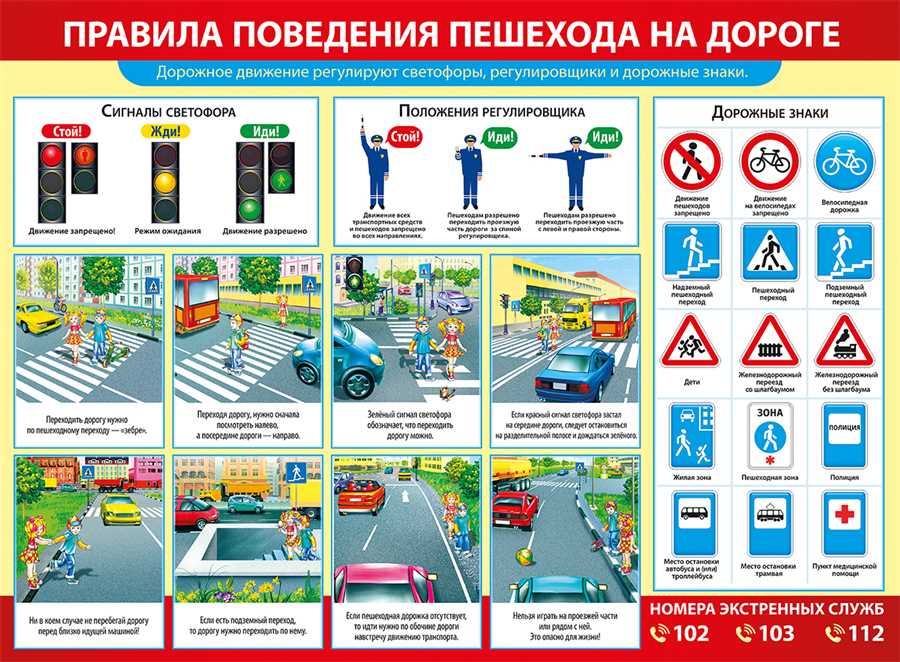 Основные правила дорожного движения: сокращаем риски для новичков