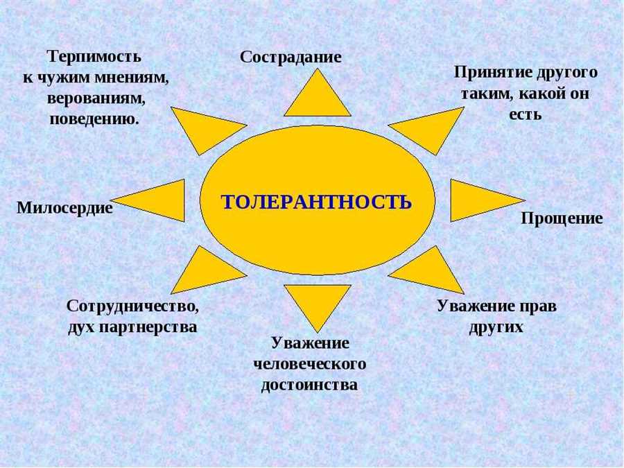 Понимание прав и обязанностей участников дорожного движения